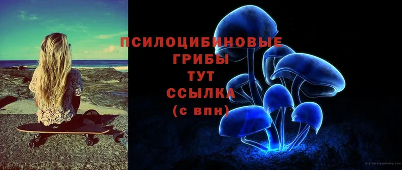 Галлюциногенные грибы Psilocybe  Кириллов 